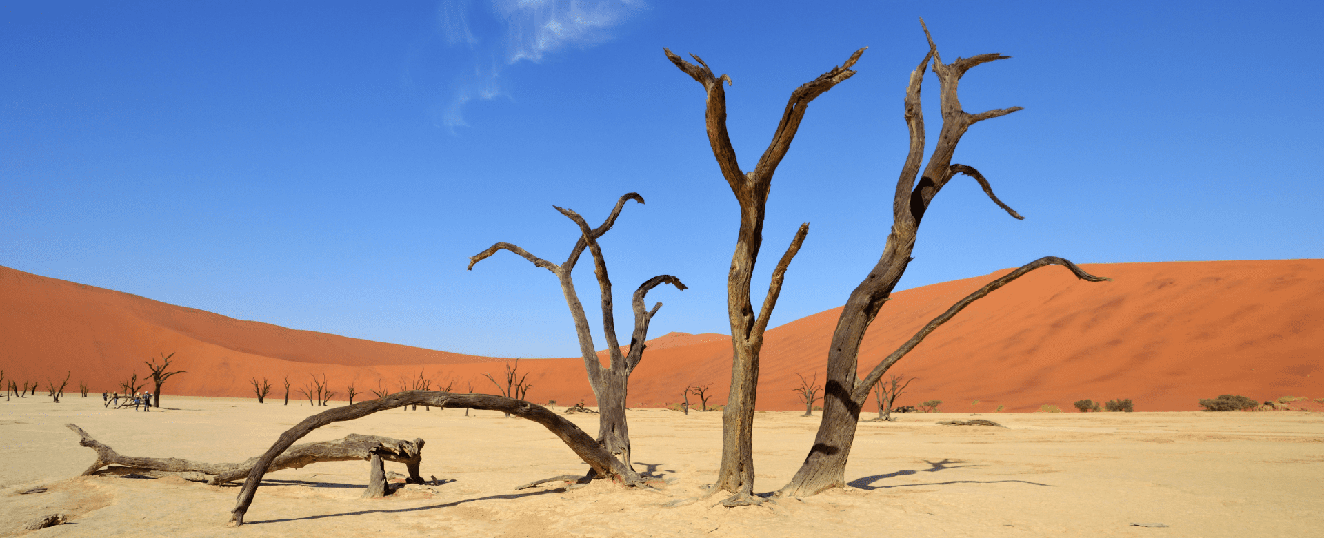 Paisaje de Deadvlei en Sossusvlei con acacias muertas y dunas rojas de fondo durante un viaje a Namibia.